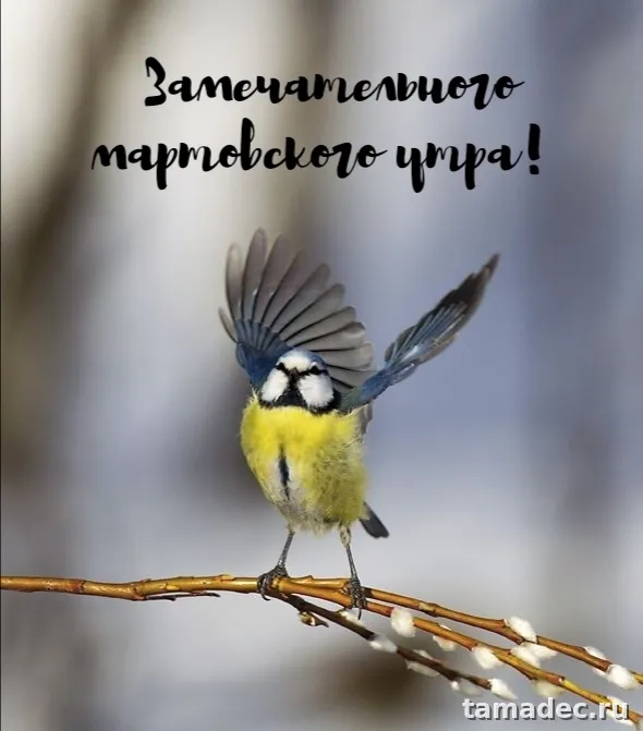 Картинки с Добрым мартовским утром. С Добрым мартовским утром - картинки с пожеланиями