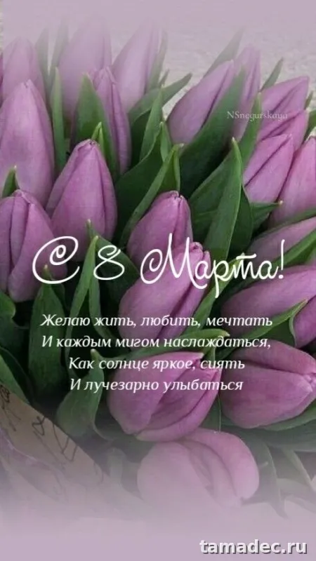 Прикольные и красивые картинки с 8 марта. С 8 марта - картинки с пожеланиями