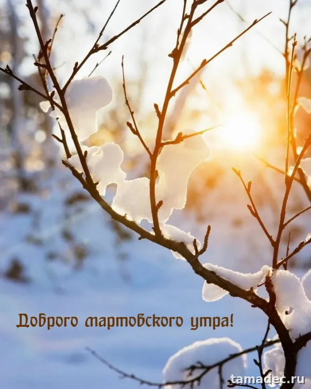 Картинки с Добрым мартовским утром. С Добрым мартовским утром - картинки с пожеланиями