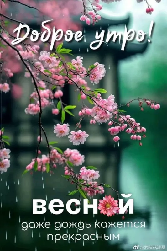 Красивые картинки Доброго весеннего утра . Красивые картинки с Добрым весенним утром