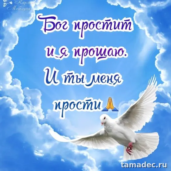 4 картинки «Прости меня» — скачать и отправить. Картинки Прости меня