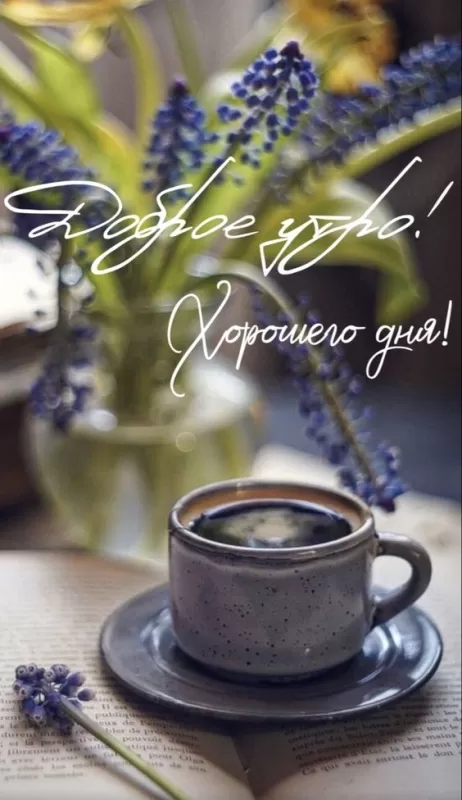 Красивые весенние картинки Доброго утра. Доброго утра - весенние картинки с пожеланиями