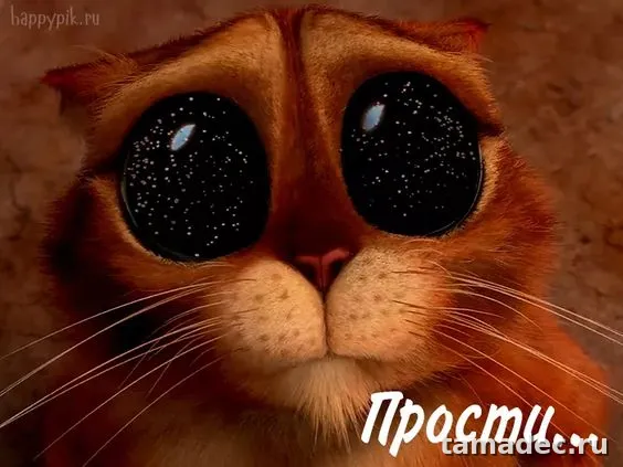 4 картинки «Прости меня» — скачать и отправить. Картинки Прости меня