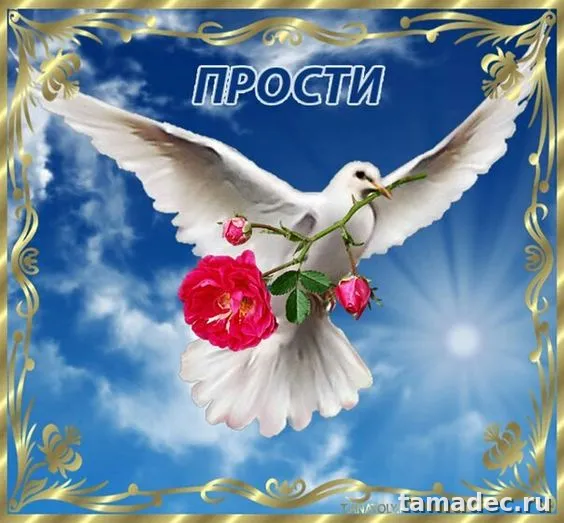 4 картинки «Прости меня» — скачать и отправить
