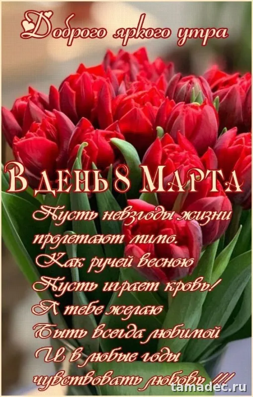 Прикольные и красивые картинки с 8 марта. С 8 марта - картинки с пожеланиями