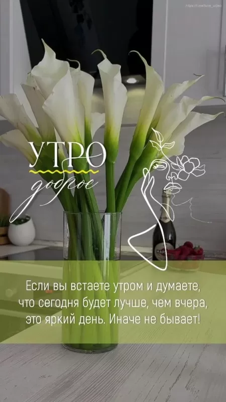 Красивые картинки Доброго весеннего утра . Картинки Доброго весеннего утра необычные