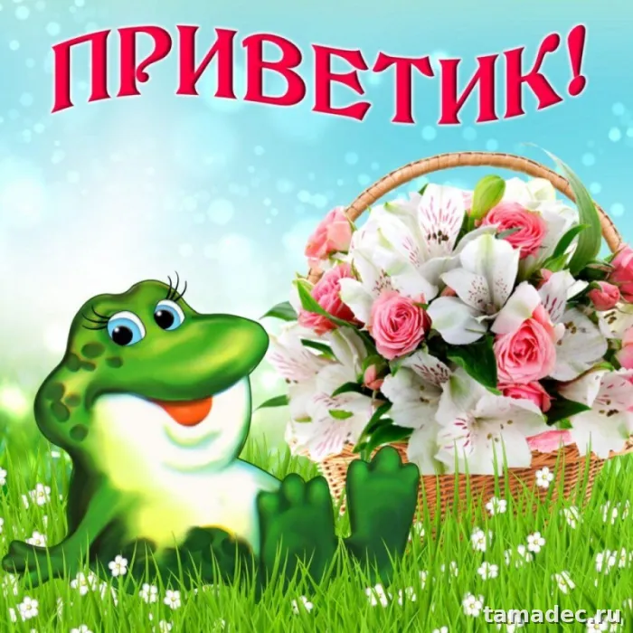 Прикольные и красивые картинки "Привет". Прикольные картинки с надписью Привет