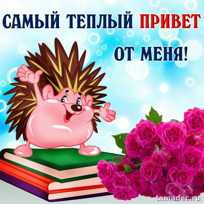 Прикольные и красивые картинки "Привет". Прикольные картинки с надписью Привет