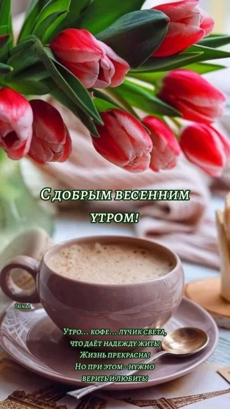 Красивые картинки Доброго весеннего утра . Красивые картинки с Добрым весенним утром