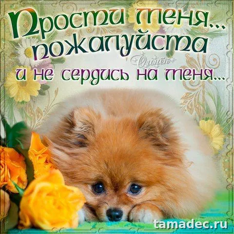 4 картинки «Прости меня» — скачать и отправить. Картинки Прости меня