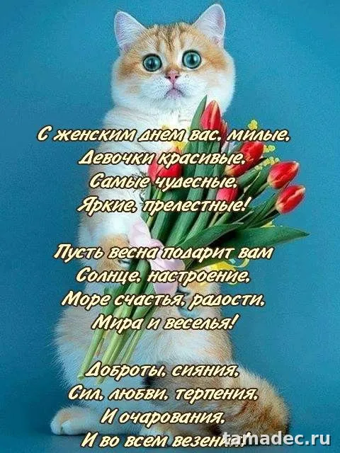 Прикольные и красивые картинки с 8 марта. Картинки с 8 Марта красивые&nbsp;