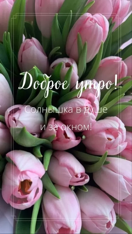 Красивые весенние картинки Доброго утра. Весенние картинки Доброе утро