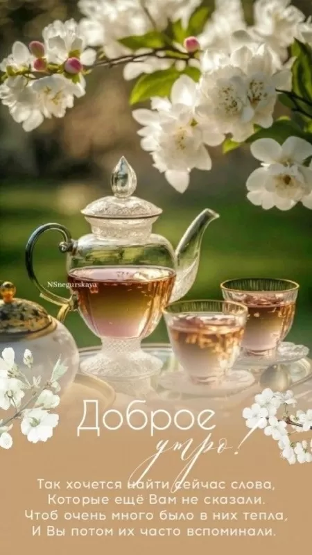 Красивые весенние картинки Доброго утра. Доброго утра весенние картинка