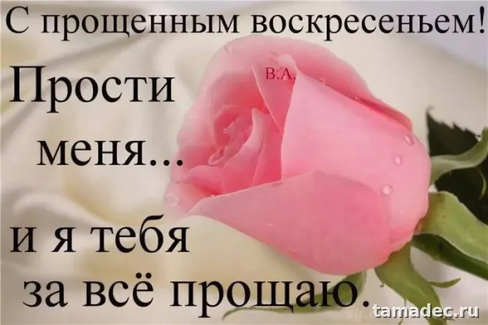4 картинки «Прости меня» — скачать и отправить. Картинки Бог простит и я прощаю