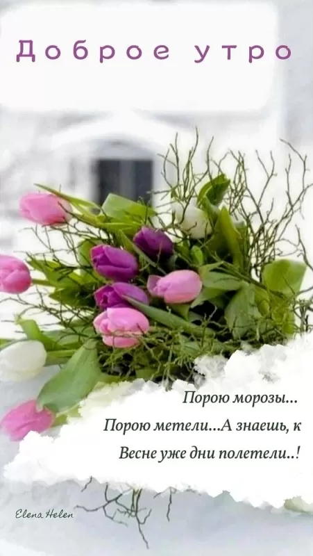 Красивые весенние картинки Доброго утра. Весенние картинки Доброе утро