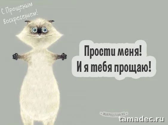 4 картинки «Прости меня» — скачать и отправить. Картинки Прости меня