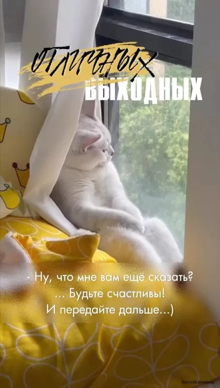 Картинки "Хороших и отличных выходных" . Красивые картинки "Хороших выходных"