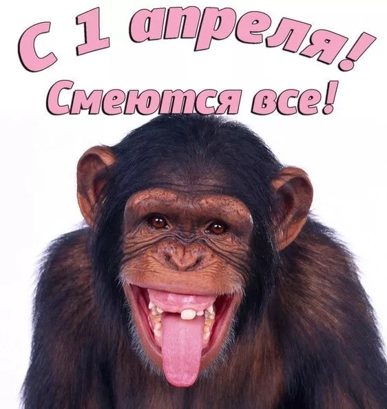 Прикольные картинки с 1 апреля. Картинки С Днем смеха 1 апреля&nbsp;