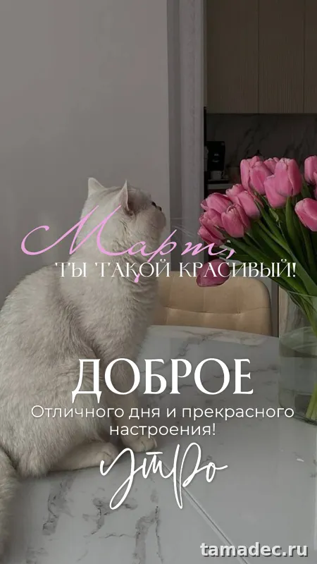 Картинки с Добрым мартовским утром. Картинки с Добрым мартовским утром