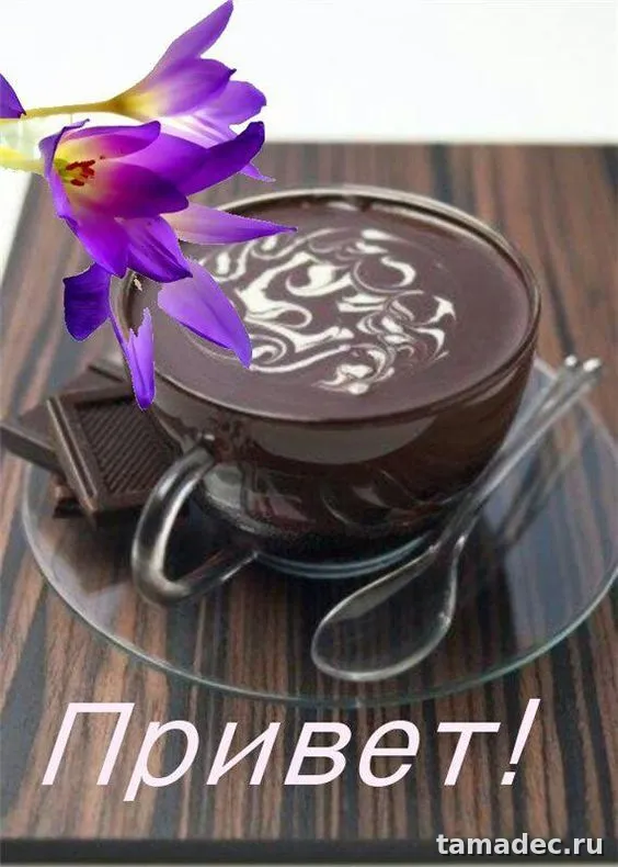 Прикольные и красивые картинки "Привет". Красивые картинки "Привет"