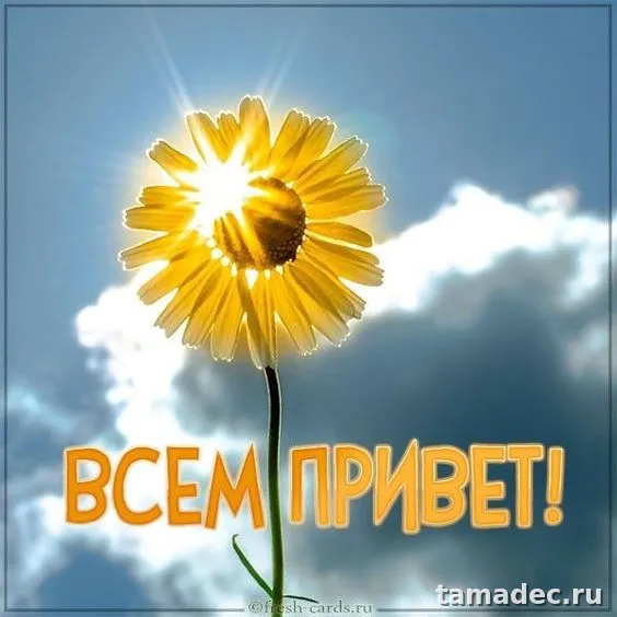 Прикольные и красивые картинки "Привет". Красивые картинки "Привет"