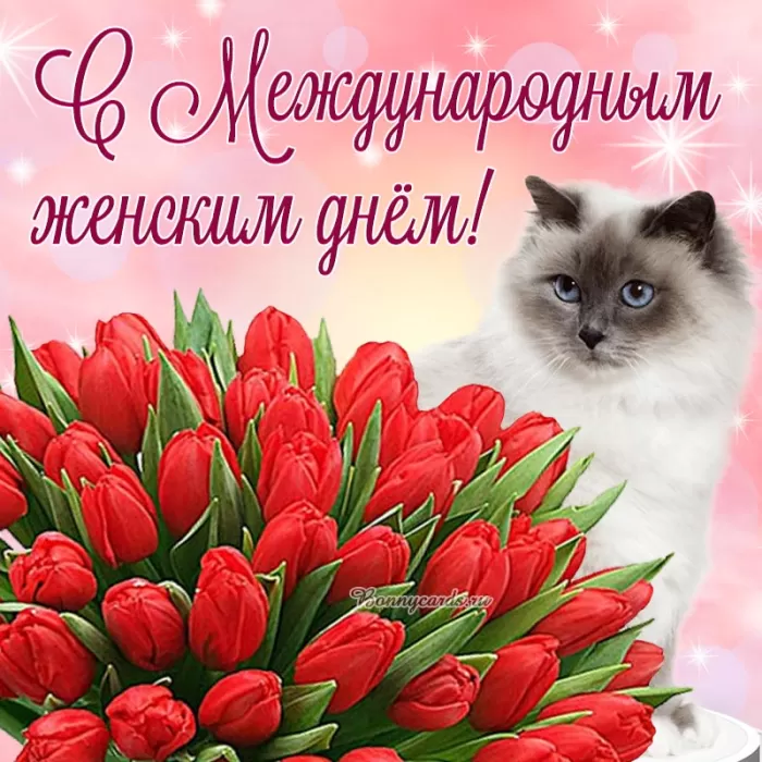 Картинки с Международным женским Днем. Красивые картинки с Междунароным женским Днем&nbsp;