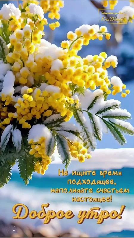 Красивые весенние картинки Доброго утра. Доброго утра весенние картинка