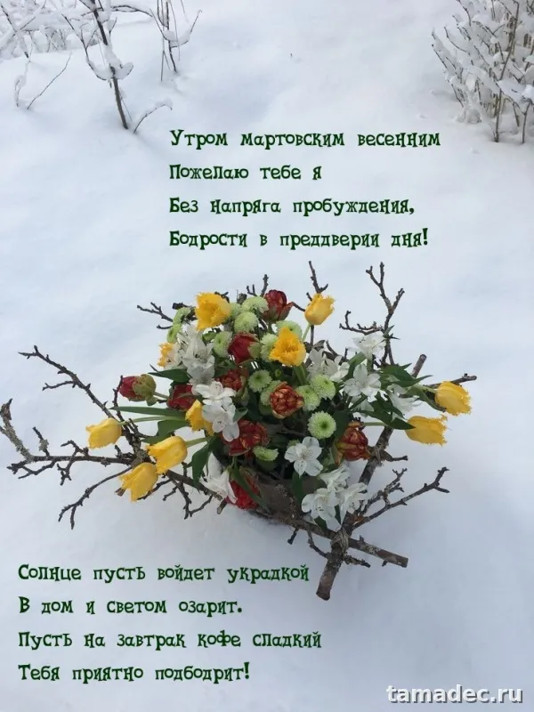 Картинки с Добрым мартовским утром. С Добрым мартовским утром - картинки с пожеланиями