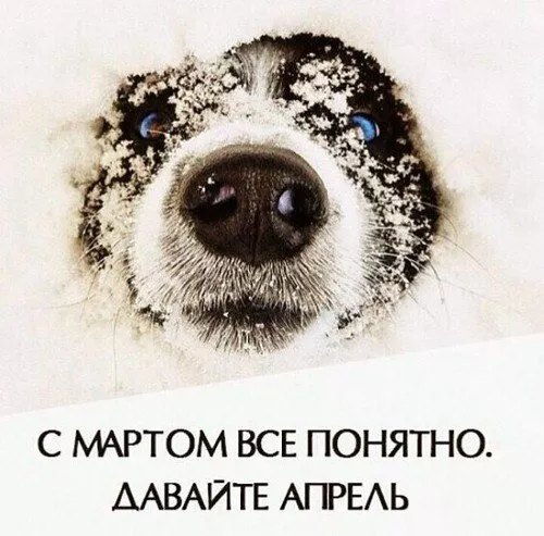 Прикольные картинки с 1 апреля. Картинки С Днем смеха 1 апреля&nbsp;