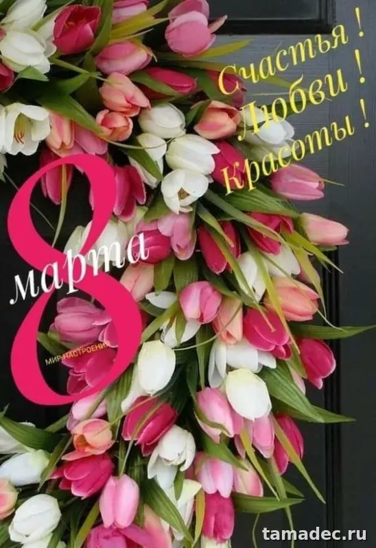 Прикольные и красивые картинки с 8 марта. С 8 марта - картинки с пожеланиями