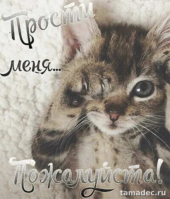 4 картинки «Прости меня» — скачать и отправить. Картинки Прости меня