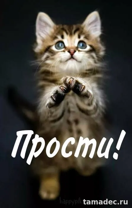 4 картинки «Прости меня» — скачать и отправить. Картинки Прости меня