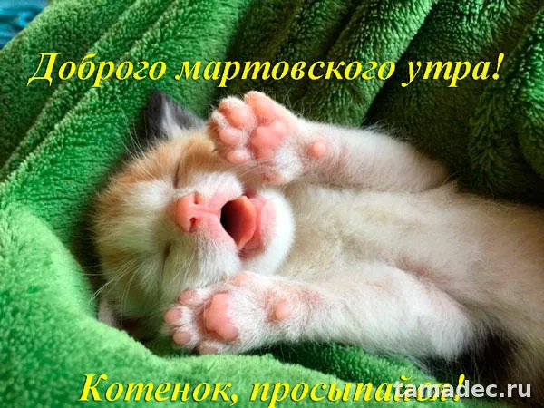 Картинки с Добрым мартовским утром. Прикольные картинки с добрым утром марта