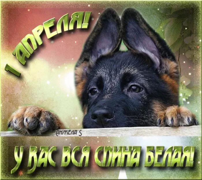 Прикольные картинки с 1 апреля. Прикольные картинки с 1 апреля