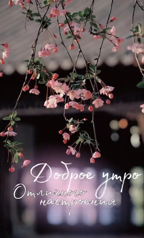 Красивые весенние картинки Доброго утра. Доброго утра весенние картинка