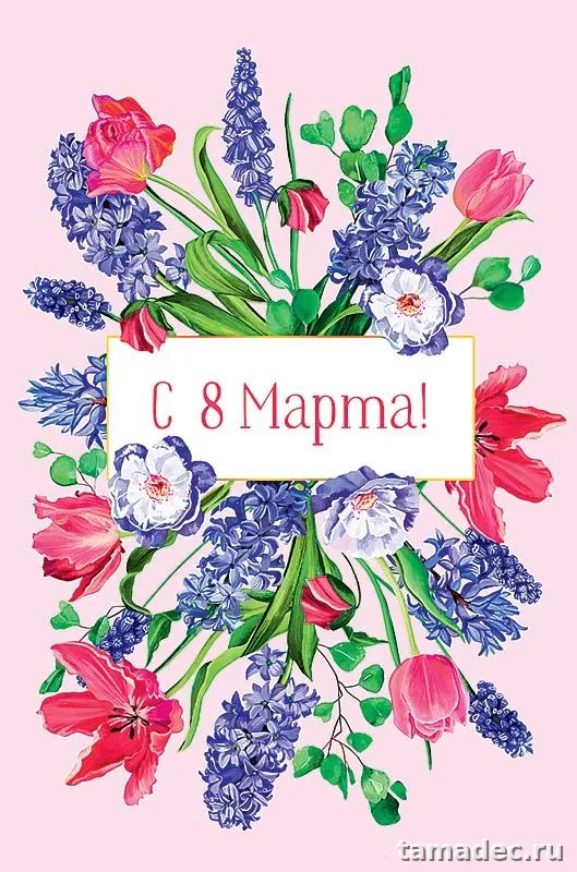 Прикольные и красивые картинки с 8 марта. С 8 марта - картинки с пожеланиями
