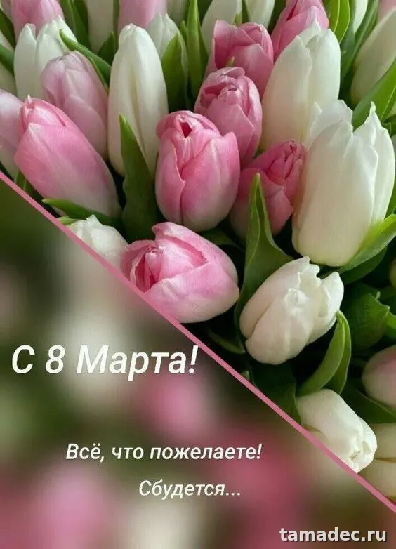 Прикольные и красивые картинки с 8 марта. С 8 марта - картинки с пожеланиями