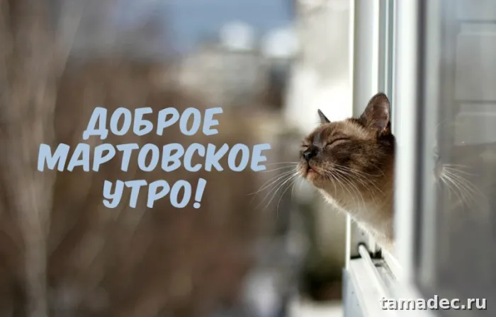 Картинки с Добрым мартовским утром. Прикольные картинки с добрым утром марта