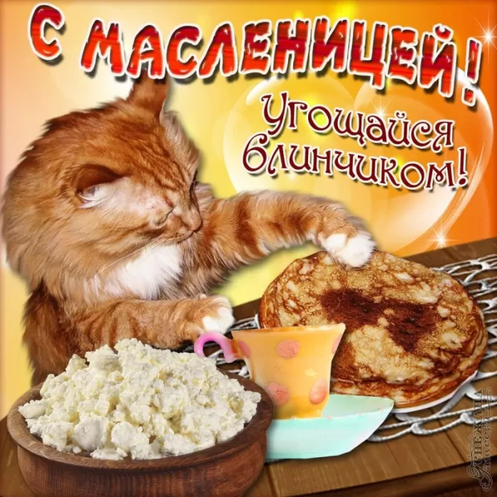 Открытки и картинки с Масленицей . Прикольные и веселые картинки с Масленицей