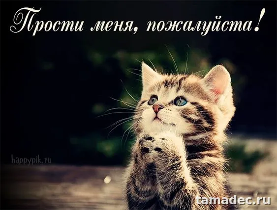 4 картинки «Прости меня» — скачать и отправить. Картинки Прости меня
