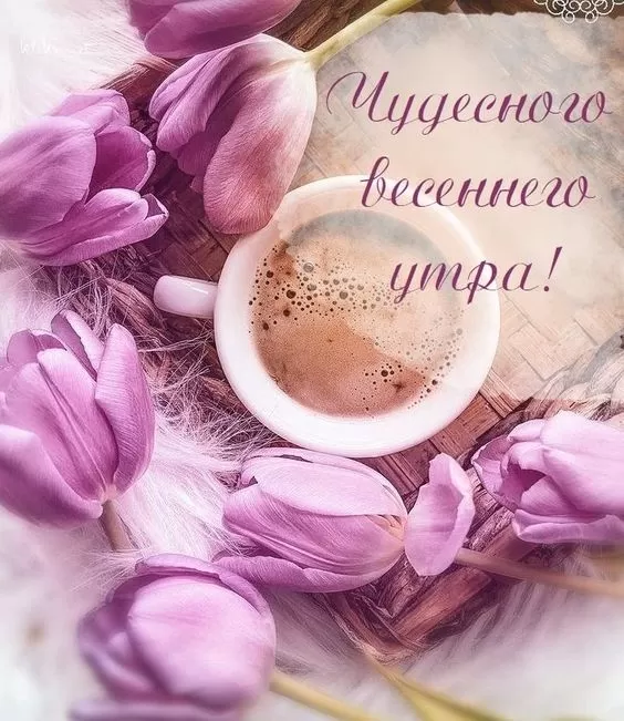 Красивые картинки Доброго весеннего утра . Доброго весеннего утра - картинки с пожеланиями