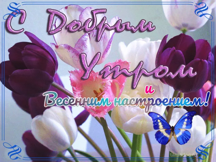 Красивые весенние картинки Доброго утра. Картинки с Добрым утром весенние &nbsp;