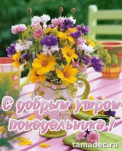 Картинки доброе утро понедельника. Доброе утро понедельника картинки позитивные