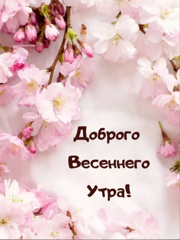 Красивые весенние картинки Доброго утра. Картинки доброе утро хорошего дня весенние