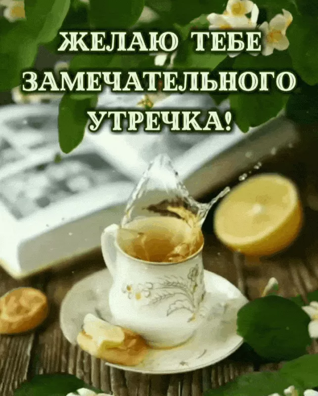 Красивые весенние картинки Доброго утра. Картинки доброе утро хорошего дня весенние
