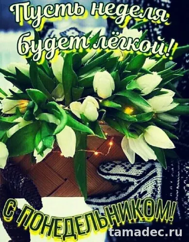 Картинки доброе утро понедельника. Доброе утро понедельника картинки позитивные