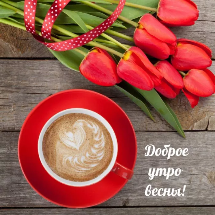 Красивые весенние картинки Доброго утра. Доброе утро весны картинки красивые