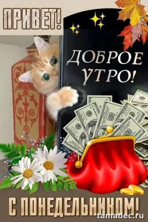 Картинки доброе утро понедельника. Доброе утро понедельника картинки позитивные