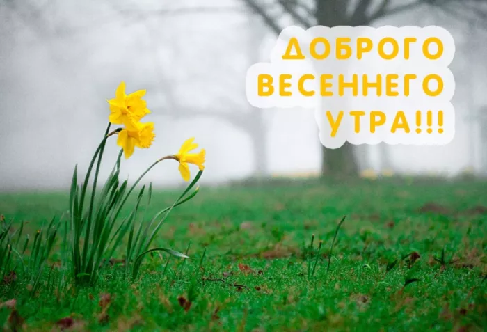 Красивые весенние картинки Доброго утра. Картинки Доброе утро весна