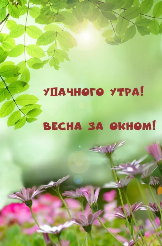 Красивые весенние картинки Доброго утра. Доброе утро весны картинки красивые